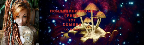 первитин Армянск