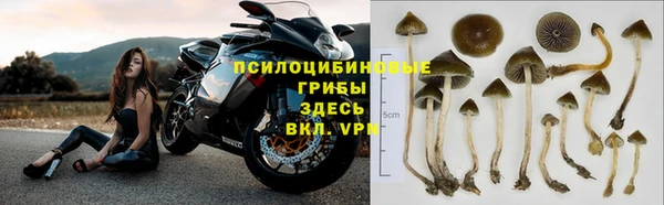 спиды Арсеньев